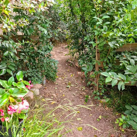 Salvacintoggio Petite 2 Personnes * 维琪奥港